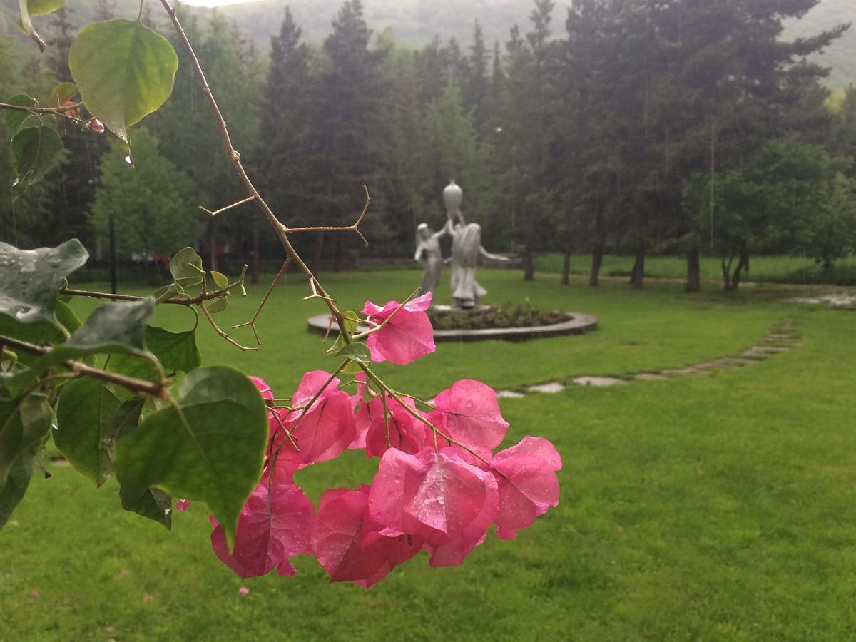 Jermuk Olympia Sanatorium Otel Dış mekan fotoğraf